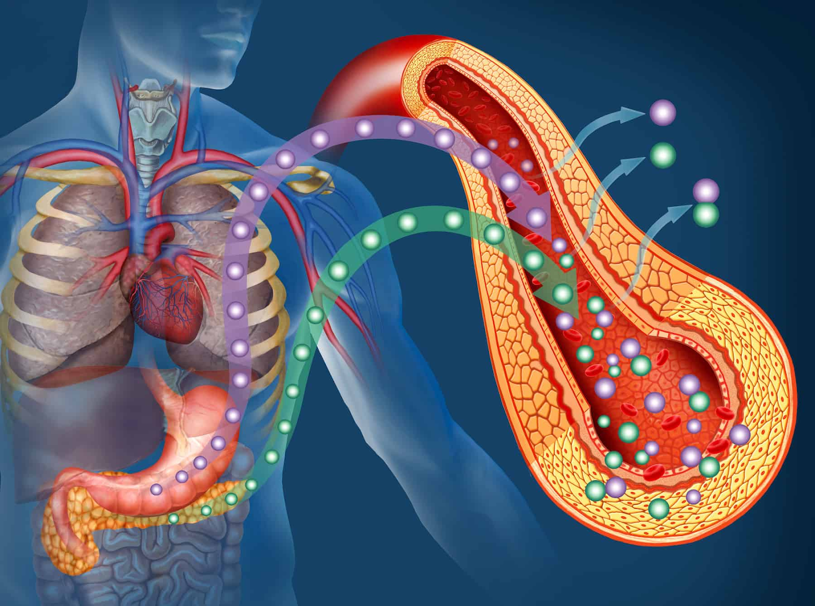 Signs and Symptoms of Insulin Resistance